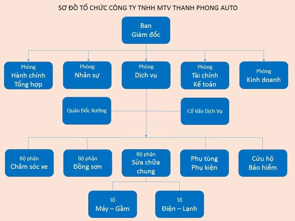 - CƠ CẤU TỔ CHỨC VÀ CƠ SỞ HẠ TẦNG