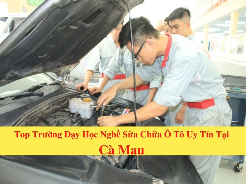 Top 7 Nơi Dạy Nghề Sửa Chữa, Bảo Dưỡng Ô Tô Cà Mau Tốt