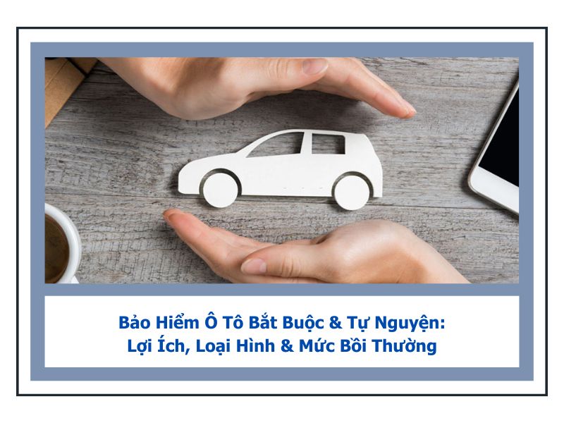 bảo hiểm ô tô bắt buộc và tự nguyện