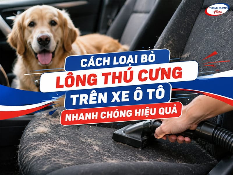 cách loại bỏ lông thú trên xe ô tô