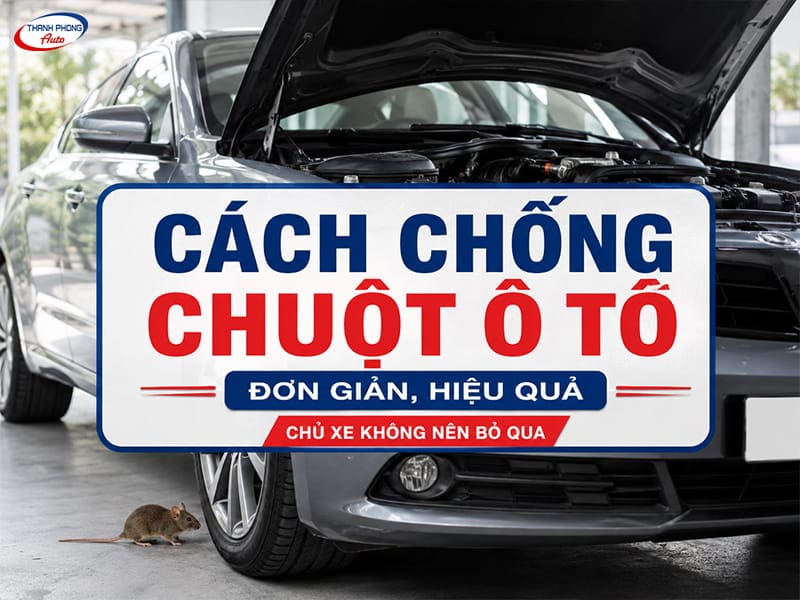 cách chống chuột cho ô tô